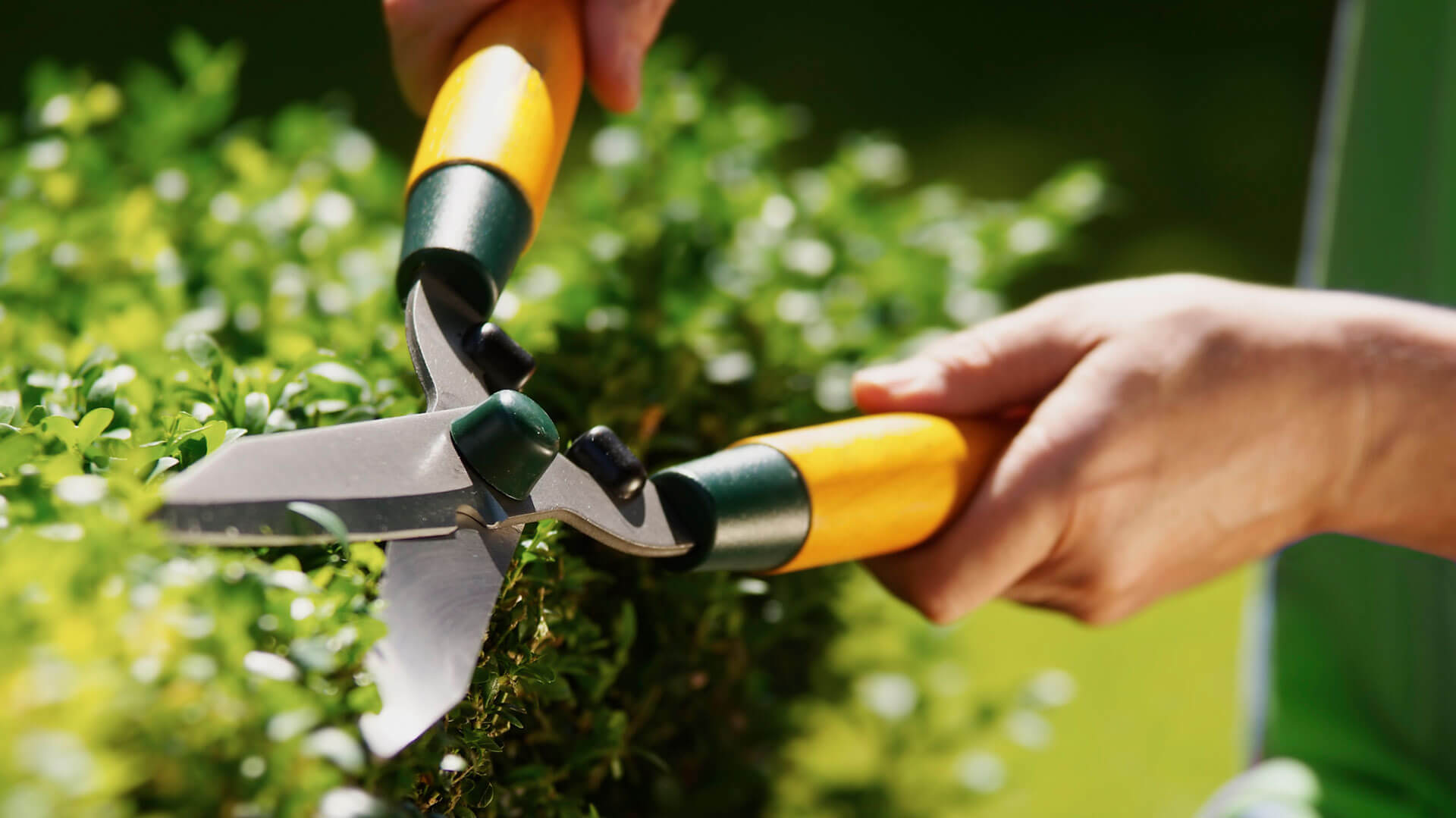 Pflege der Grünanlagen mit Gartenschere